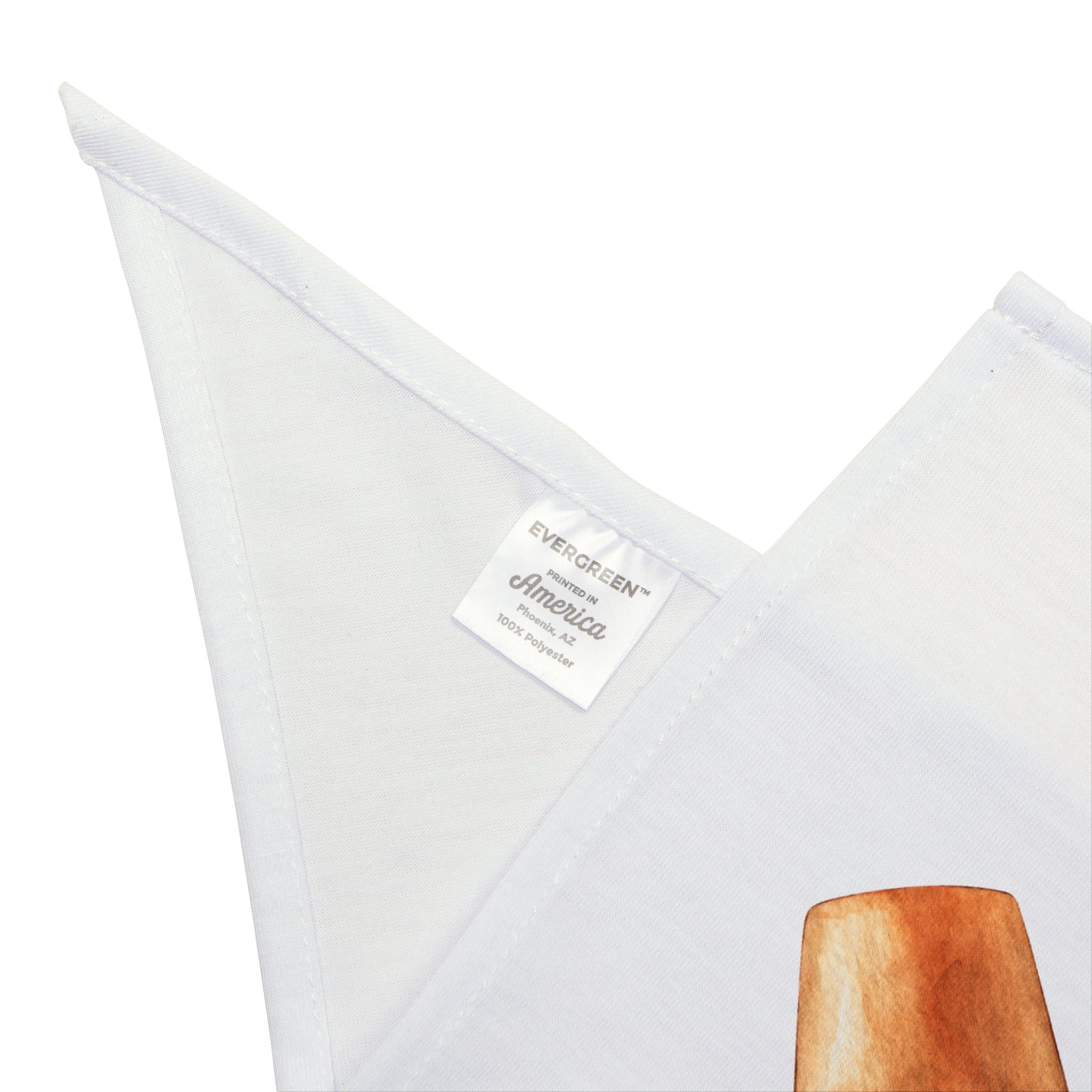 Pet Bandana — Funny 'Big Brother Is Watching' Mailman Design